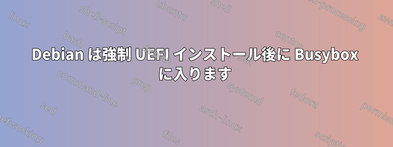 Debian は強制 UEFI インストール後に Busybox に入ります
