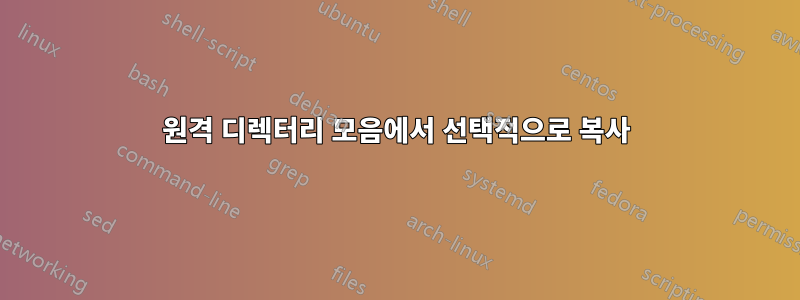 원격 디렉터리 모음에서 선택적으로 복사