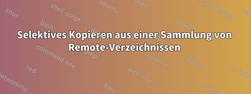 Selektives Kopieren aus einer Sammlung von Remote-Verzeichnissen
