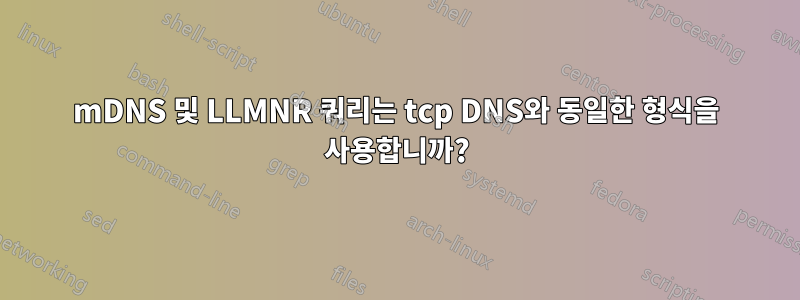 mDNS 및 LLMNR 쿼리는 tcp DNS와 동일한 형식을 사용합니까?
