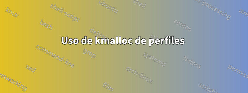 Uso de kmalloc de perfiles