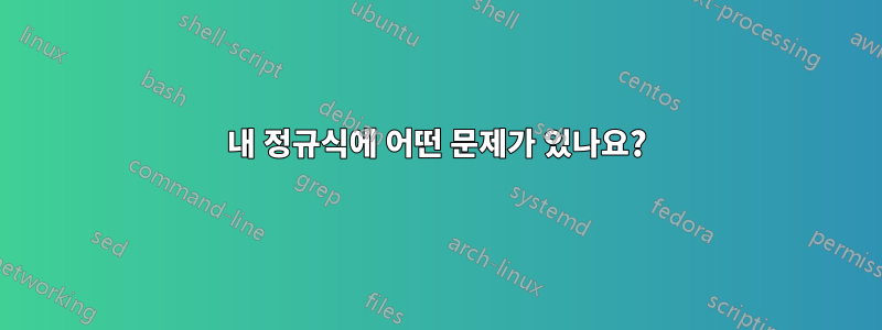 내 정규식에 어떤 문제가 있나요?