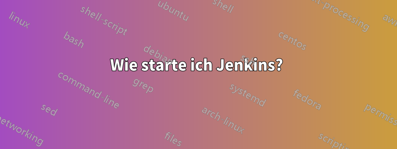 Wie starte ich Jenkins?