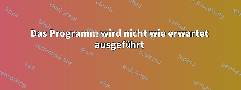 Das Programm wird nicht wie erwartet ausgeführt