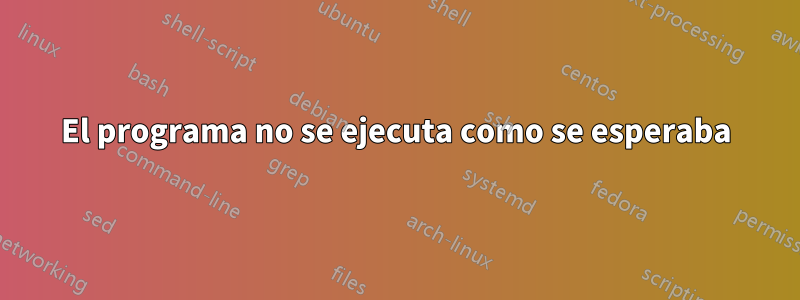 El programa no se ejecuta como se esperaba