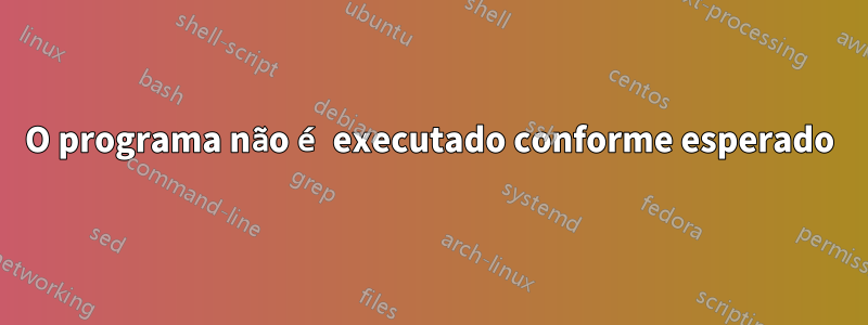 O programa não é executado conforme esperado