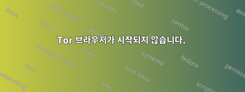 Tor 브라우저가 시작되지 않습니다.