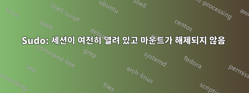 Sudo: 세션이 여전히 열려 있고 마운트가 해제되지 않음
