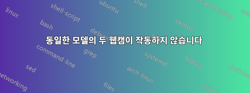 동일한 모델의 두 웹캠이 작동하지 않습니다