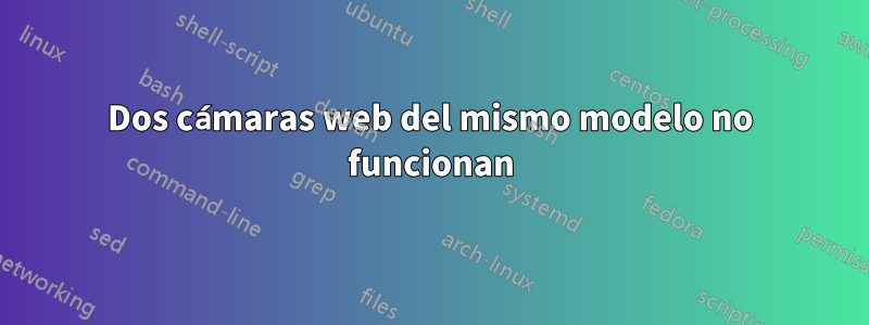 Dos cámaras web del mismo modelo no funcionan