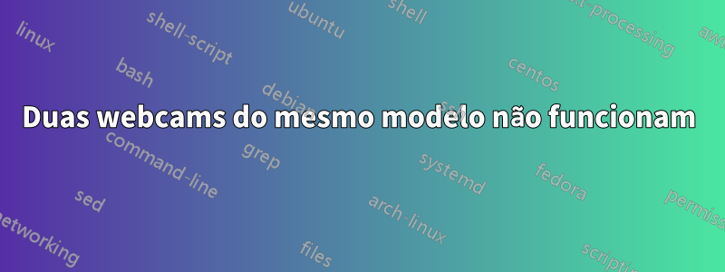 Duas webcams do mesmo modelo não funcionam