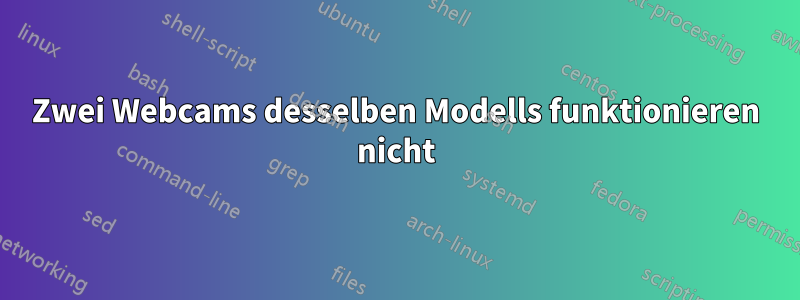 Zwei Webcams desselben Modells funktionieren nicht