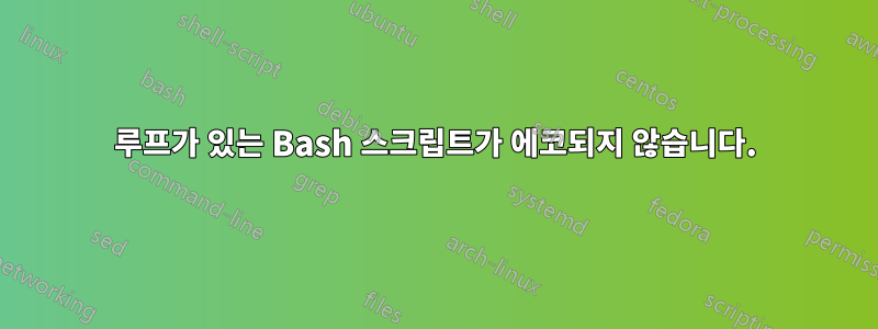 루프가 있는 Bash 스크립트가 에코되지 않습니다.