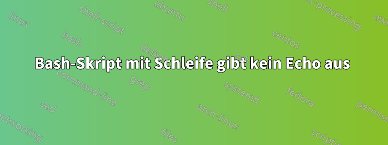 Bash-Skript mit Schleife gibt kein Echo aus