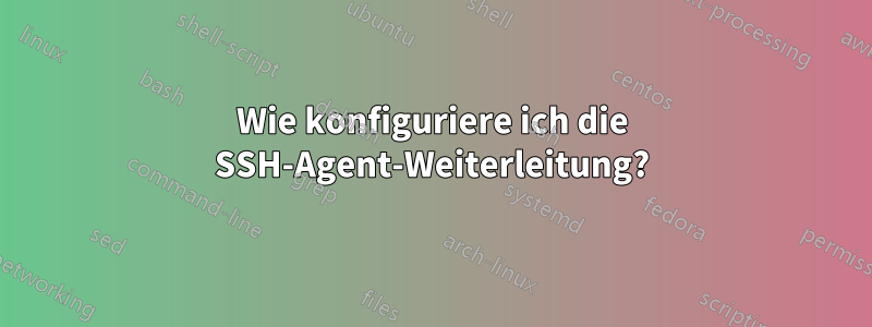 Wie konfiguriere ich die SSH-Agent-Weiterleitung?