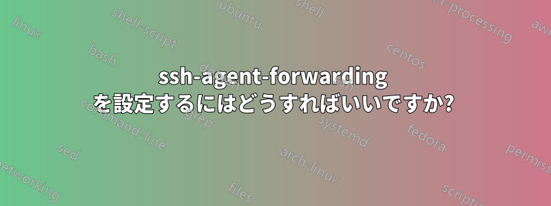 ssh-agent-forwarding を設定するにはどうすればいいですか?