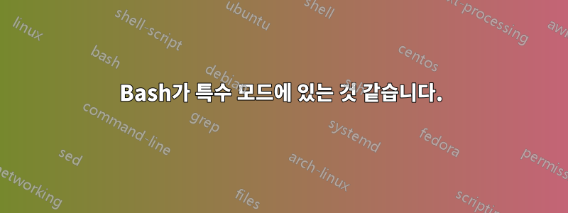 Bash가 특수 모드에 있는 것 같습니다.