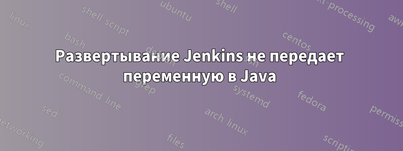 Развертывание Jenkins не передает переменную в Java