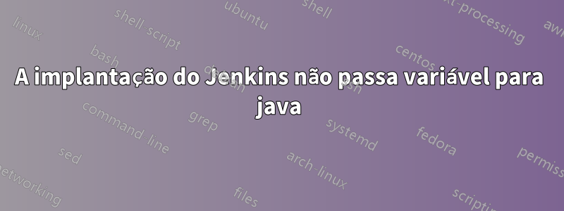 A implantação do Jenkins não passa variável para java