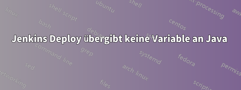 Jenkins Deploy übergibt keine Variable an Java