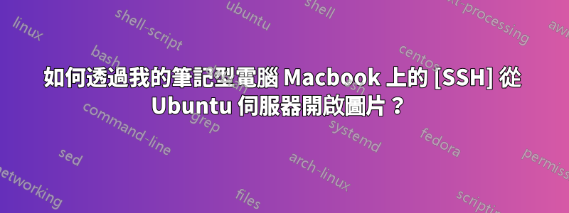 如何透過我的筆記型電腦 Macbook 上的 [SSH] 從 Ubuntu 伺服器開啟圖片？ 