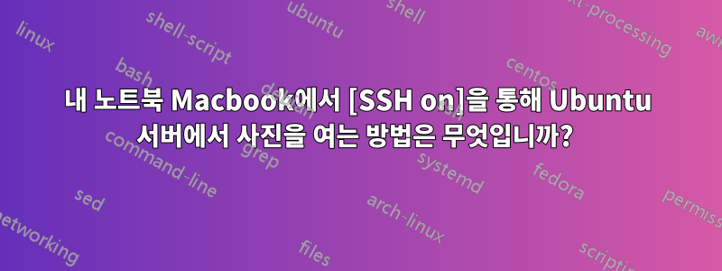 내 노트북 ​​Macbook에서 [SSH on]을 통해 Ubuntu 서버에서 사진을 여는 방법은 무엇입니까? 