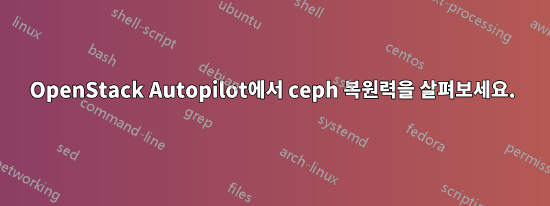 OpenStack Autopilot에서 ceph 복원력을 살펴보세요.