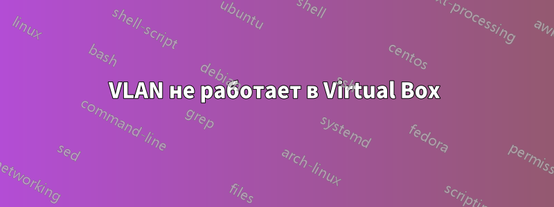 VLAN не работает в Virtual Box