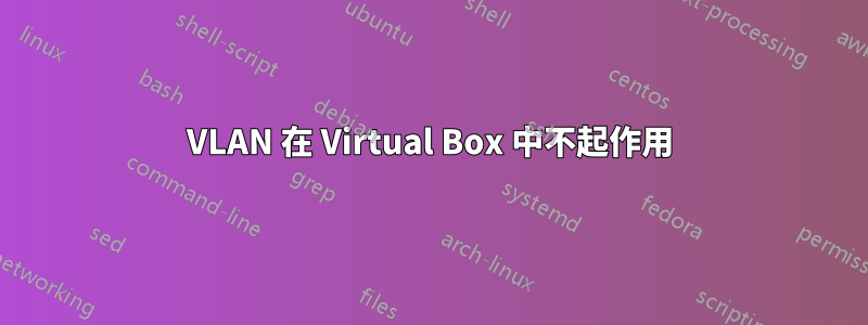 VLAN 在 Virtual Box 中不起作用