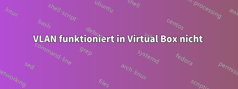 VLAN funktioniert in Virtual Box nicht