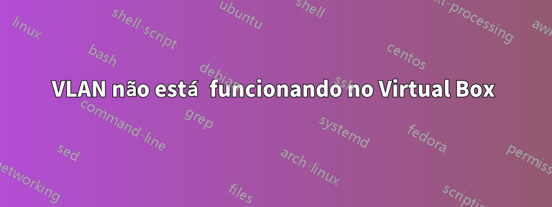 VLAN não está funcionando no Virtual Box