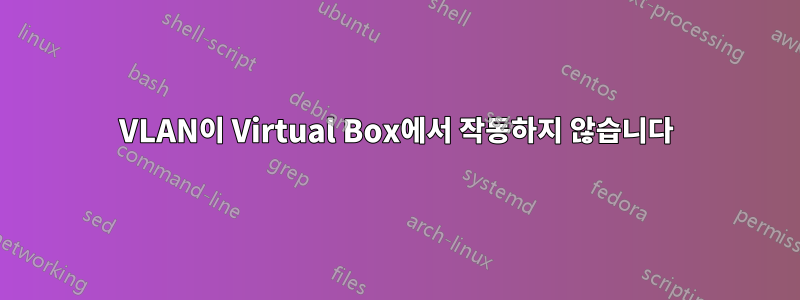 VLAN이 Virtual Box에서 작동하지 않습니다