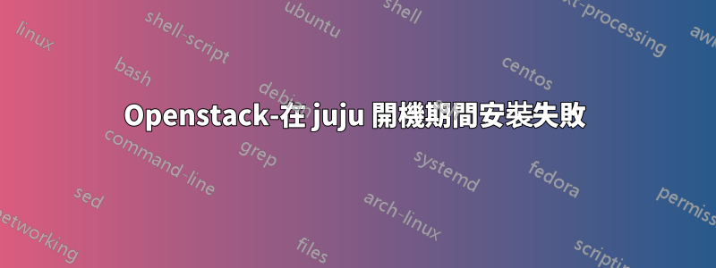 Openstack-在 juju 開機期間安裝失敗