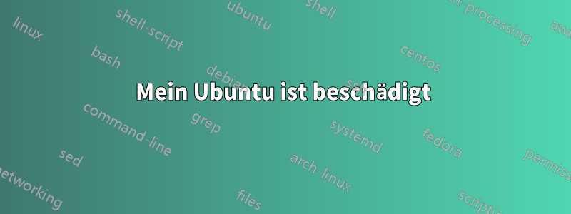 Mein Ubuntu ist beschädigt