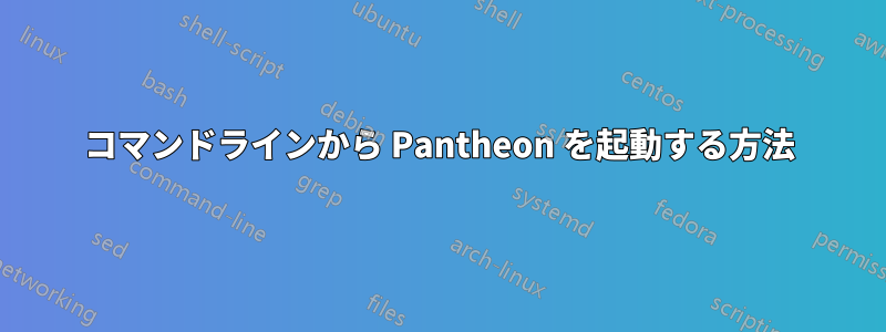 コマンドラインから Pantheon を起動する方法