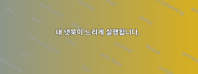 내 넷북이 느리게 실행됩니다.