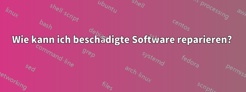 Wie kann ich beschädigte Software reparieren?