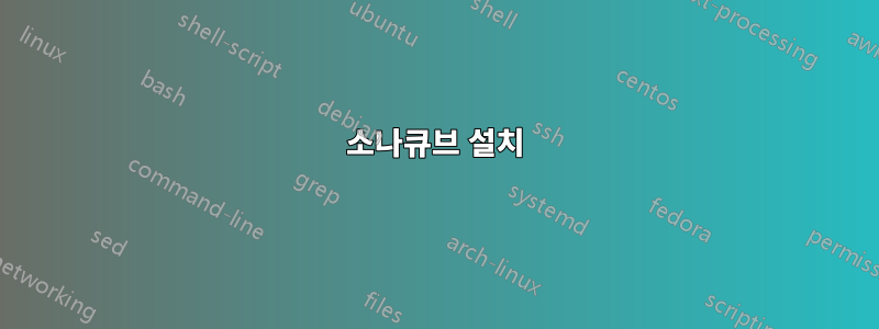 소나큐브 설치