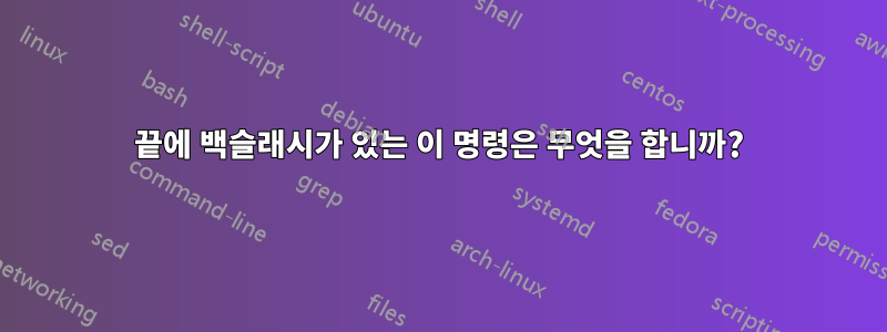 끝에 백슬래시가 있는 이 명령은 무엇을 합니까?