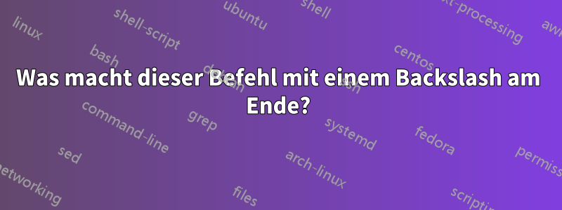 Was macht dieser Befehl mit einem Backslash am Ende?