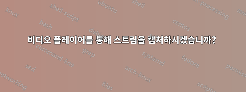 비디오 플레이어를 통해 스트림을 캡처하시겠습니까?