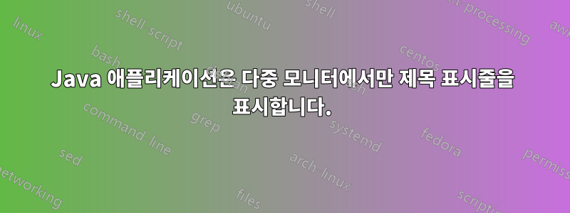 Java 애플리케이션은 다중 모니터에서만 제목 표시줄을 표시합니다.