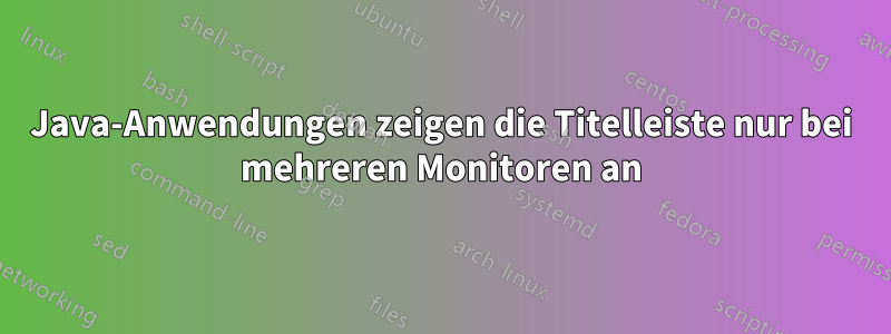 Java-Anwendungen zeigen die Titelleiste nur bei mehreren Monitoren an