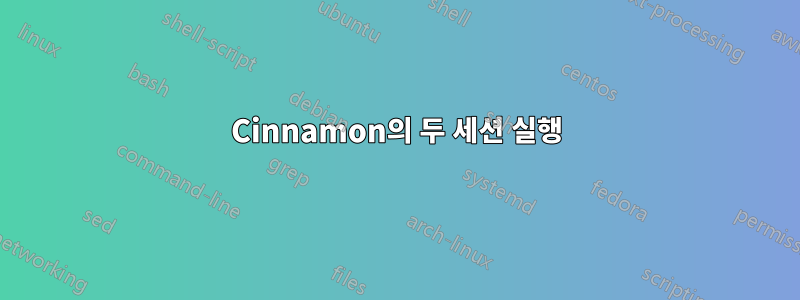 Cinnamon의 두 세션 실행