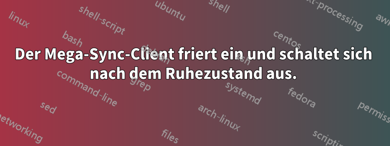 Der Mega-Sync-Client friert ein und schaltet sich nach dem Ruhezustand aus.