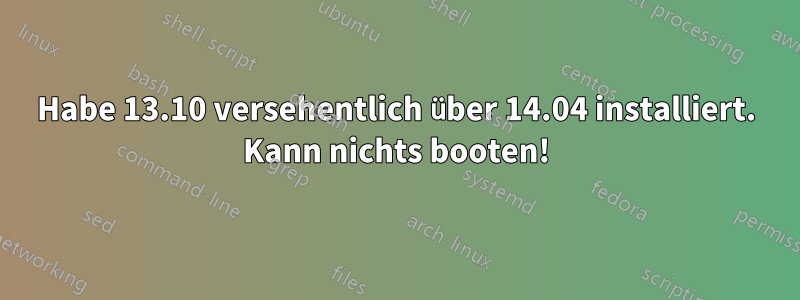 Habe 13.10 versehentlich über 14.04 installiert. Kann nichts booten!