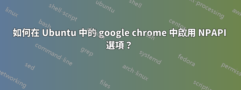 如何在 Ubuntu 中的 google chrome 中啟用 NPAPI 選項？