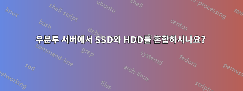 우분투 서버에서 SSD와 HDD를 혼합하시나요?