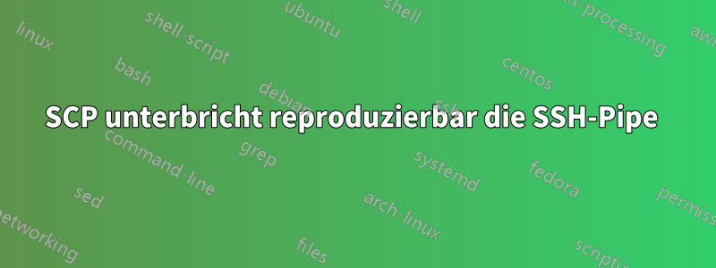 SCP unterbricht reproduzierbar die SSH-Pipe 