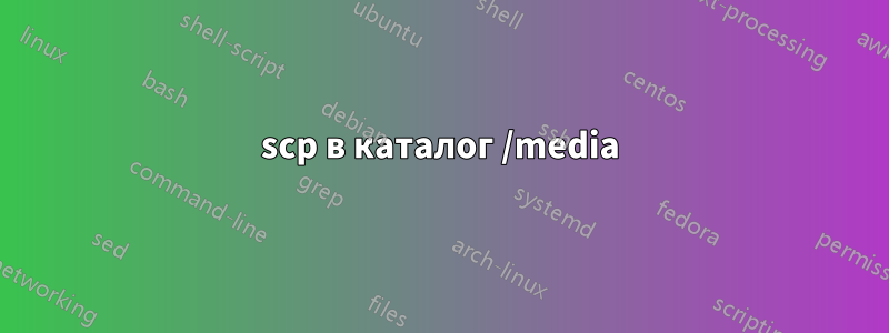 scp в каталог /media